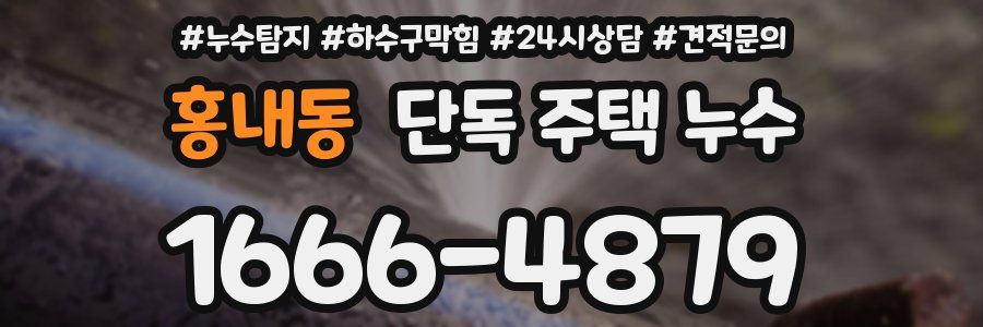 홍내동 단독 주택 누수