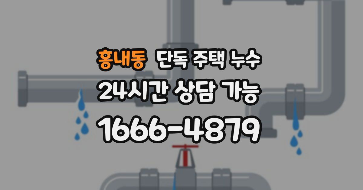 홍내동 단독 주택 누수
