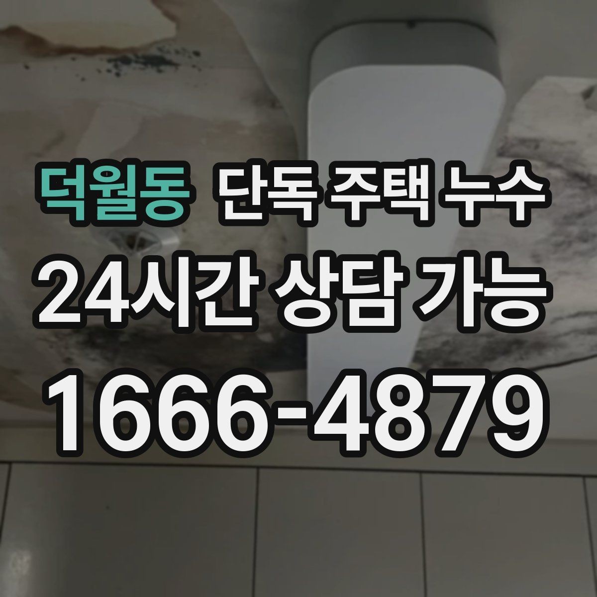 덕월동 단독 주택 누수 배수관 누수로 바닥이 젖는 경우
