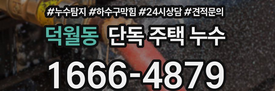 덕월동 단독 주택 누수