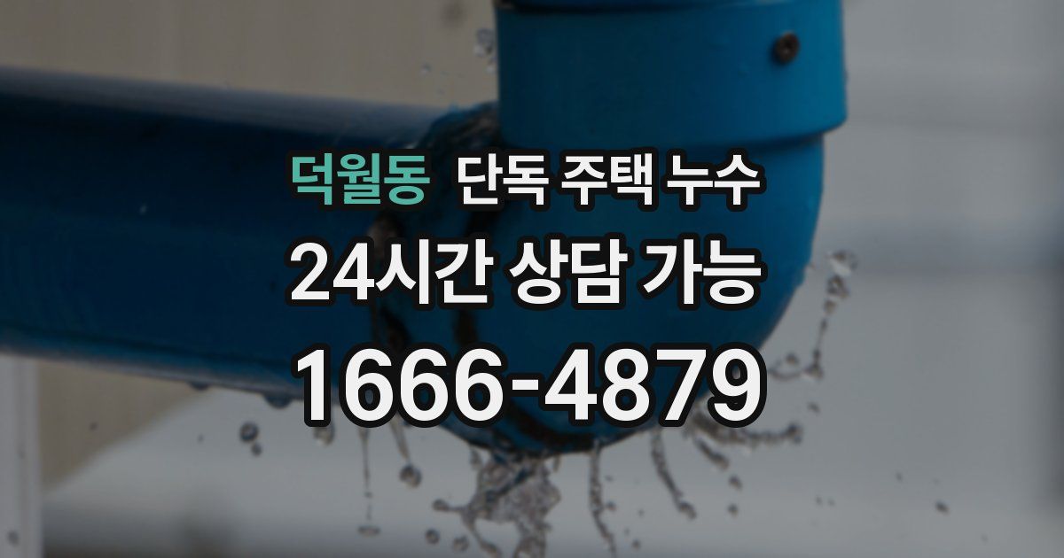 덕월동 단독 주택 누수