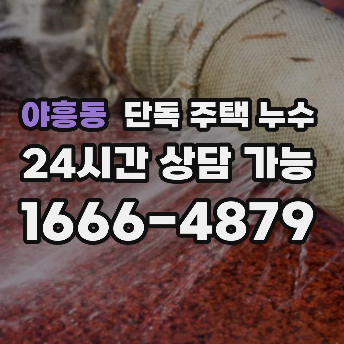 야흥동 단독 주택 누수 비바람 방향에 따라 새는 곳이 달라질 때