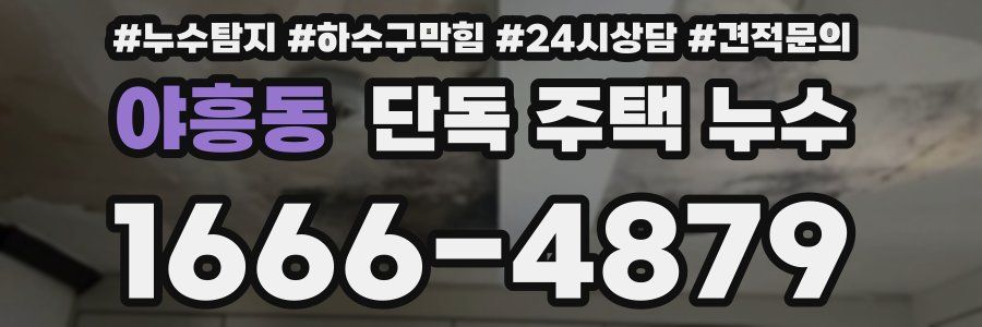 야흥동 단독 주택 누수