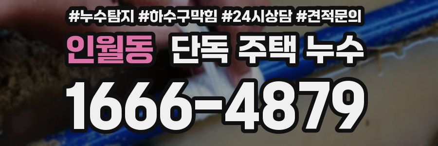 인월동 단독 주택 누수