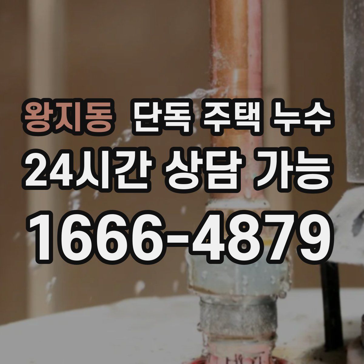 왕지동 단독 주택 누수