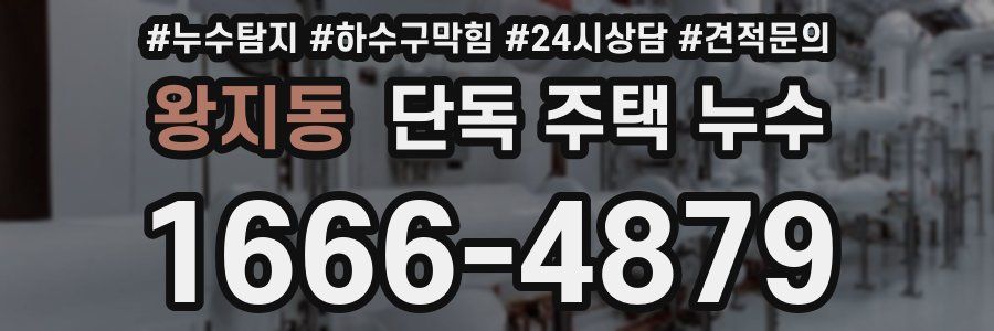 왕지동 단독 주택 누수