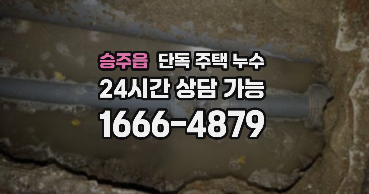 승주읍 단독 주택 누수