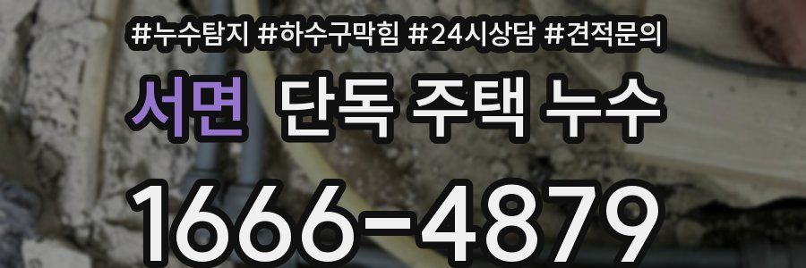 서면 단독 주택 누수