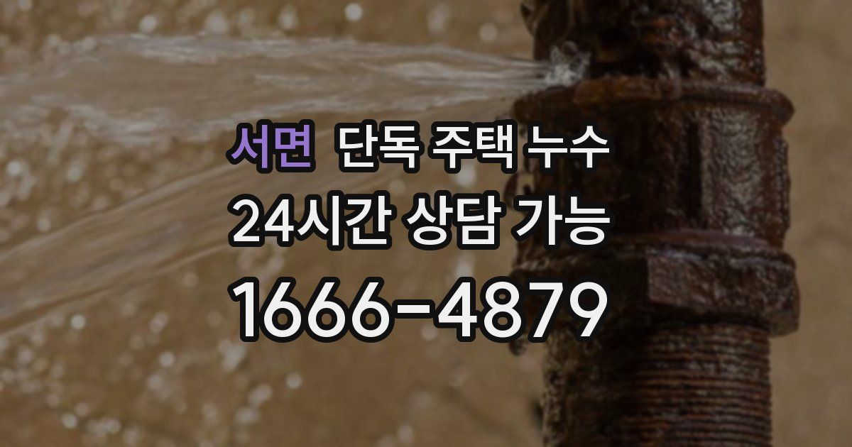 서면 단독 주택 누수