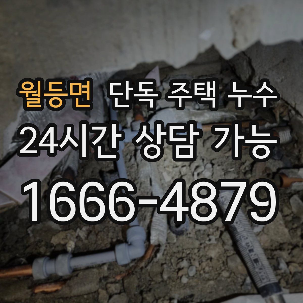 월등면 단독 주택 누수