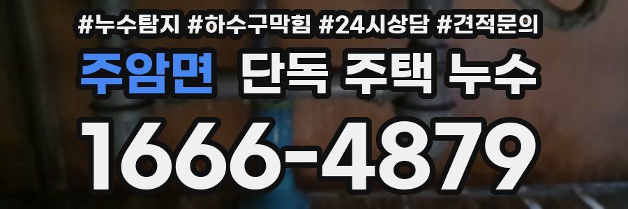 주암면 단독 주택 누수