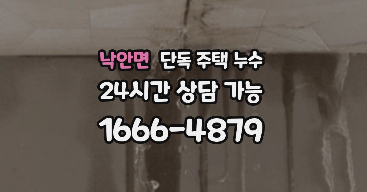 낙안면 단독 주택 누수