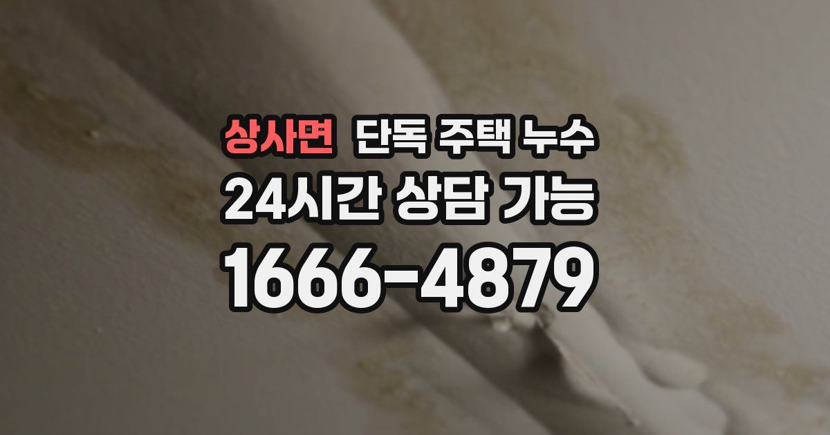 상사면 단독 주택 누수