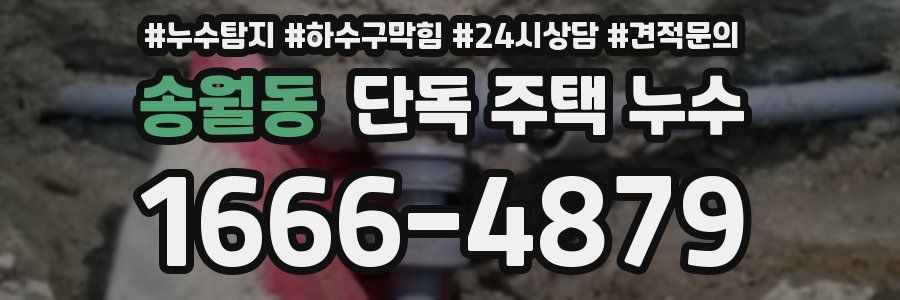 송월동 단독 주택 누수