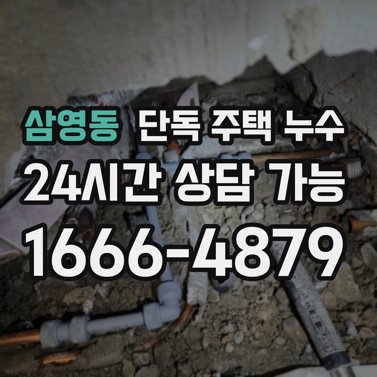 삼영동 단독 주택 누수