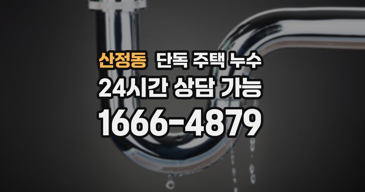산정동 단독 주택 누수
