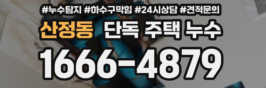 산정동 단독 주택 누수