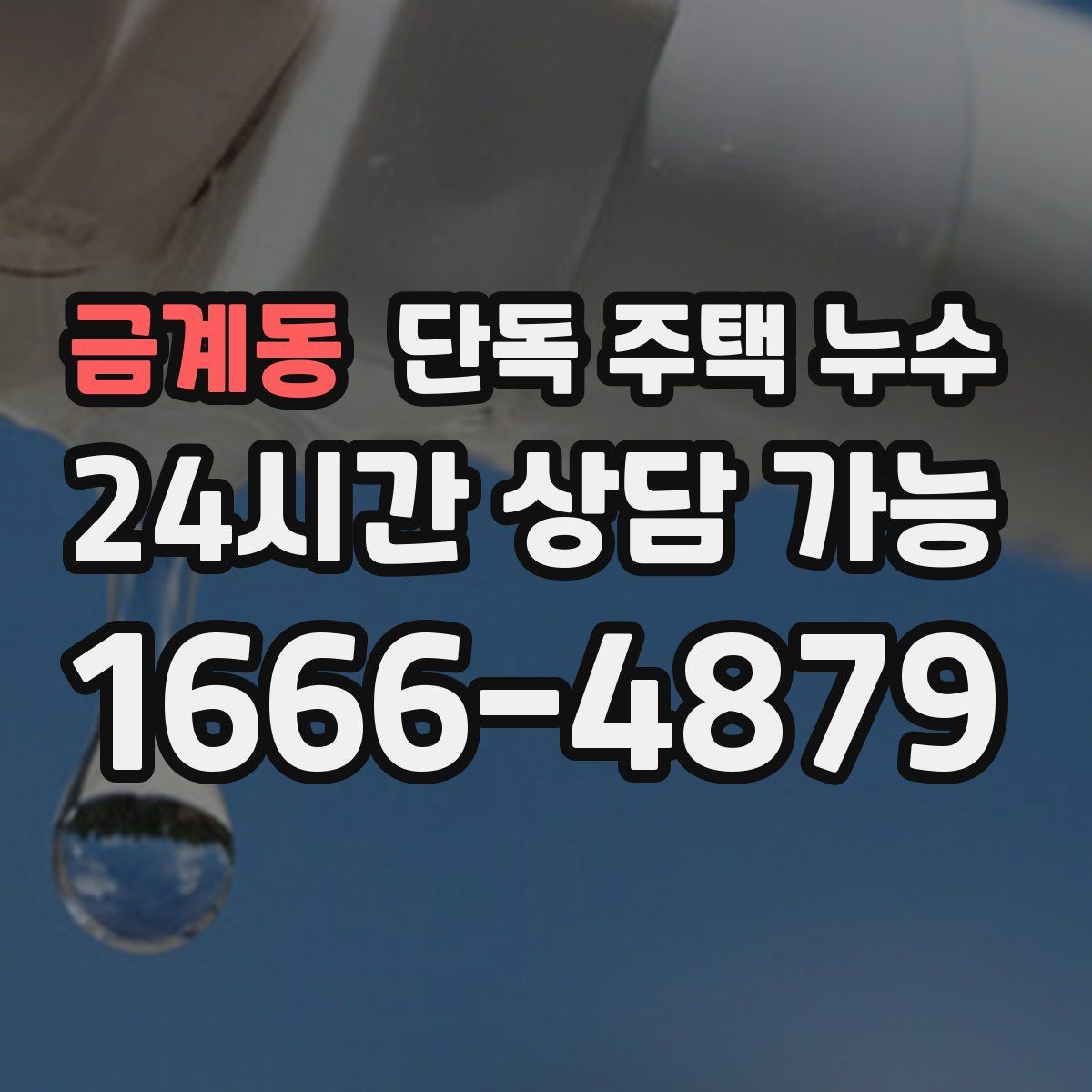금계동 단독 주택 누수
