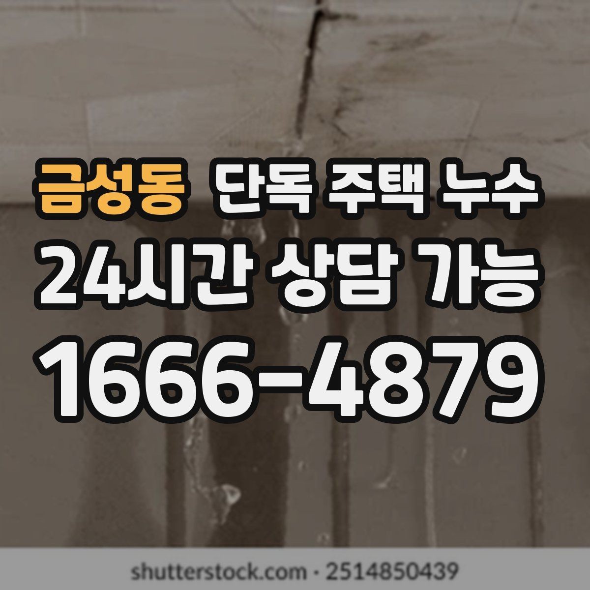 금성동 단독 주택 누수 빗물받이 주변 점검해야 하는 이유