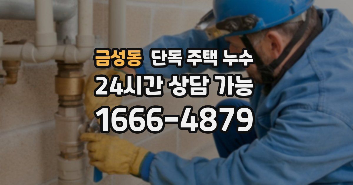 금성동 단독 주택 누수