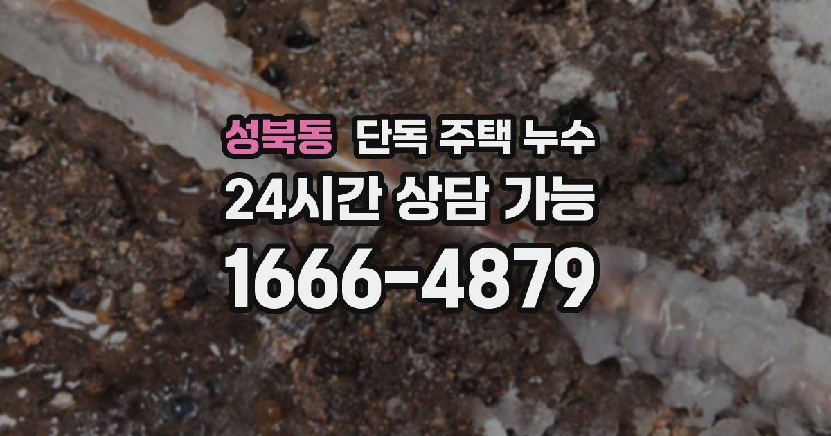 성북동 단독 주택 누수