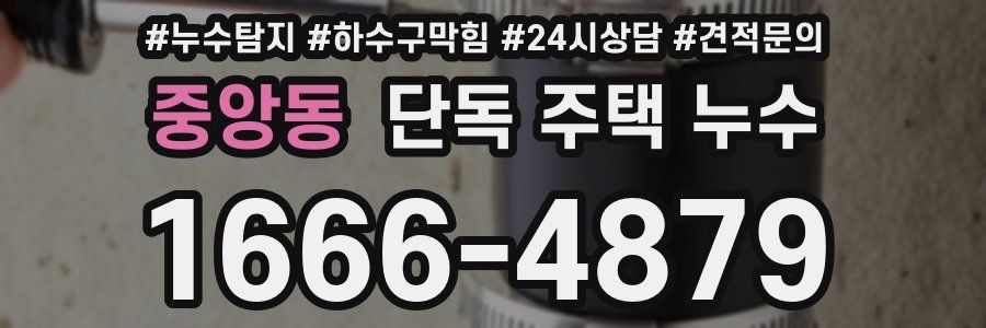 중앙동 단독 주택 누수