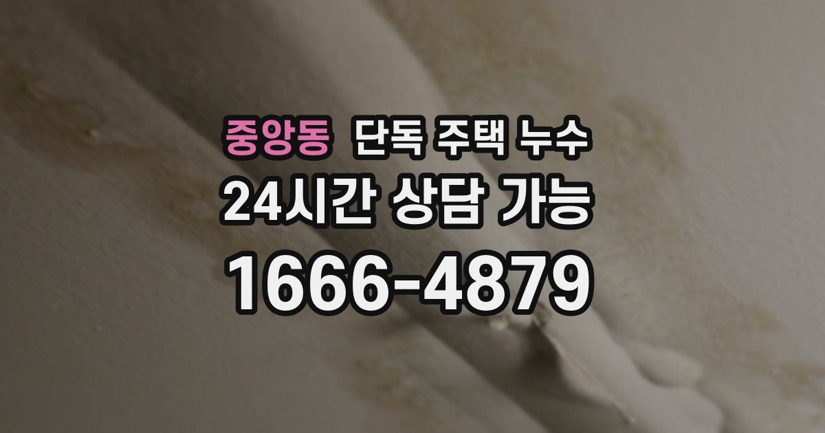 중앙동 단독 주택 누수
