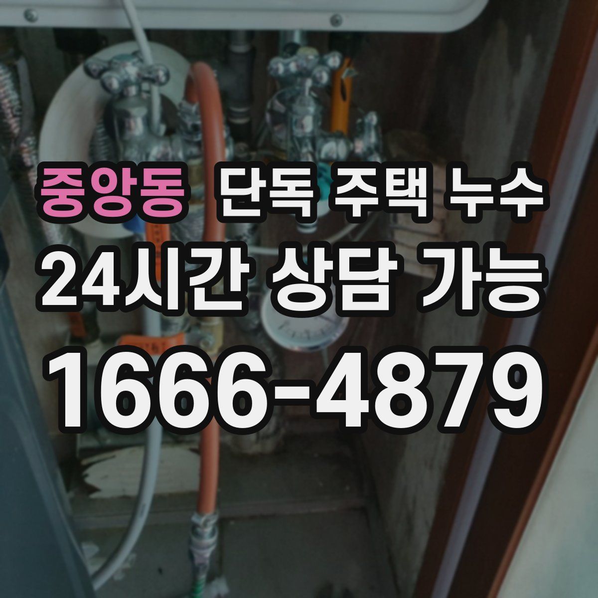 중앙동 단독 주택 누수