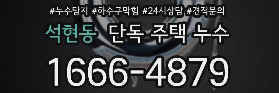 석현동 단독 주택 누수