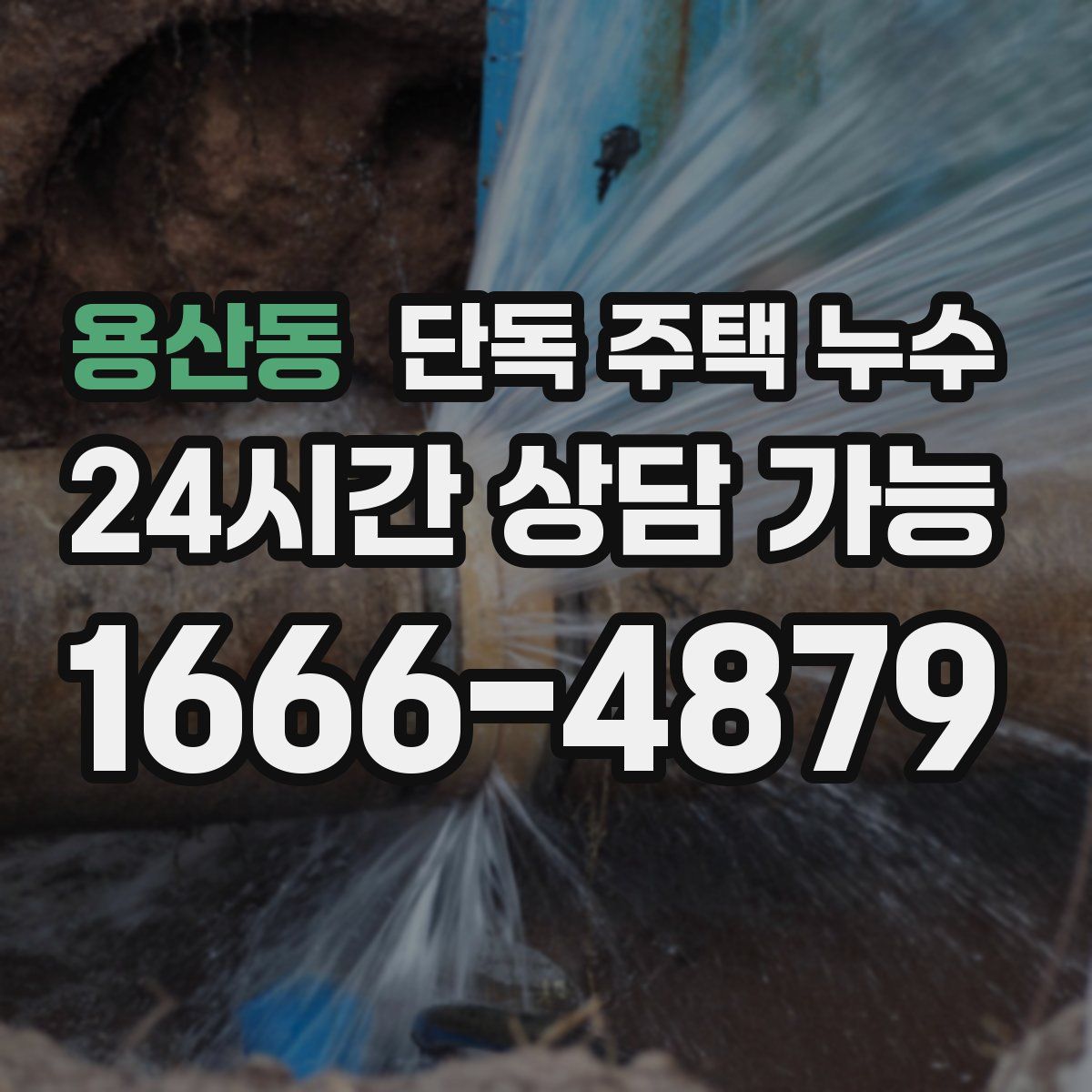 용산동 단독 주택 누수