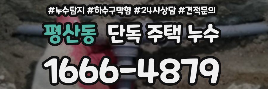 평산동 단독 주택 누수