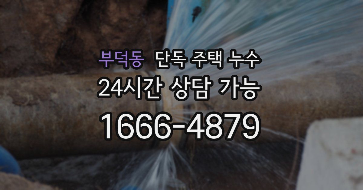 부덕동 단독 주택 누수