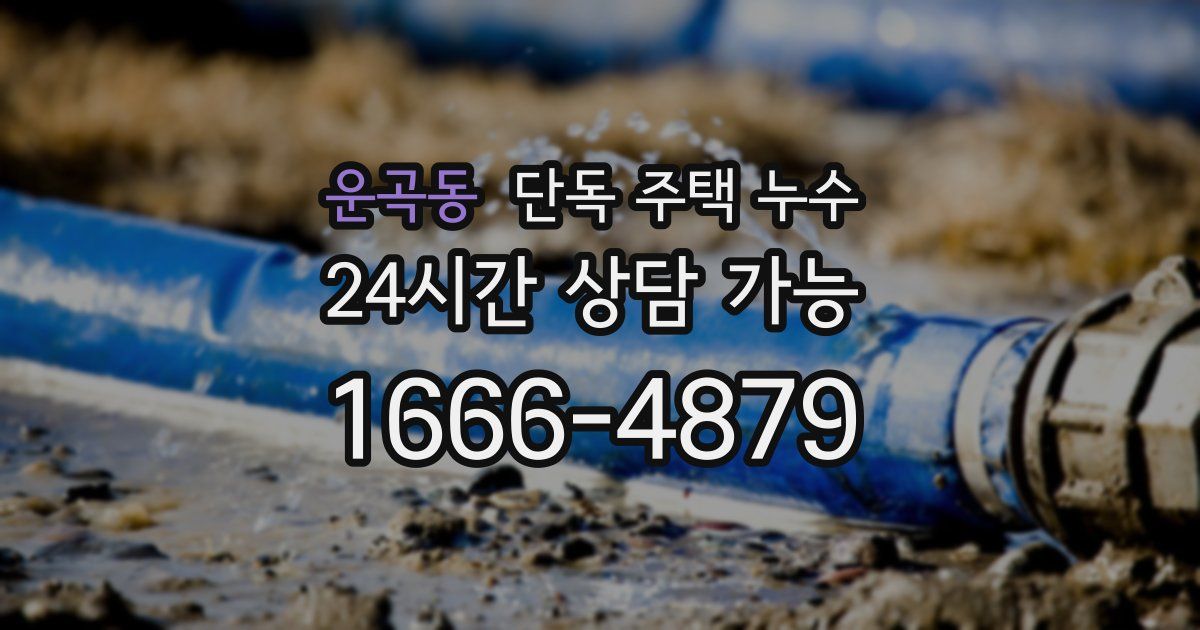 운곡동 단독 주택 누수