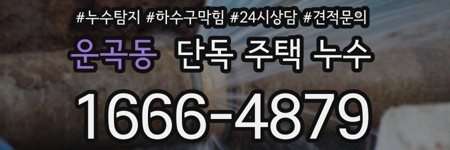 운곡동 단독 주택 누수