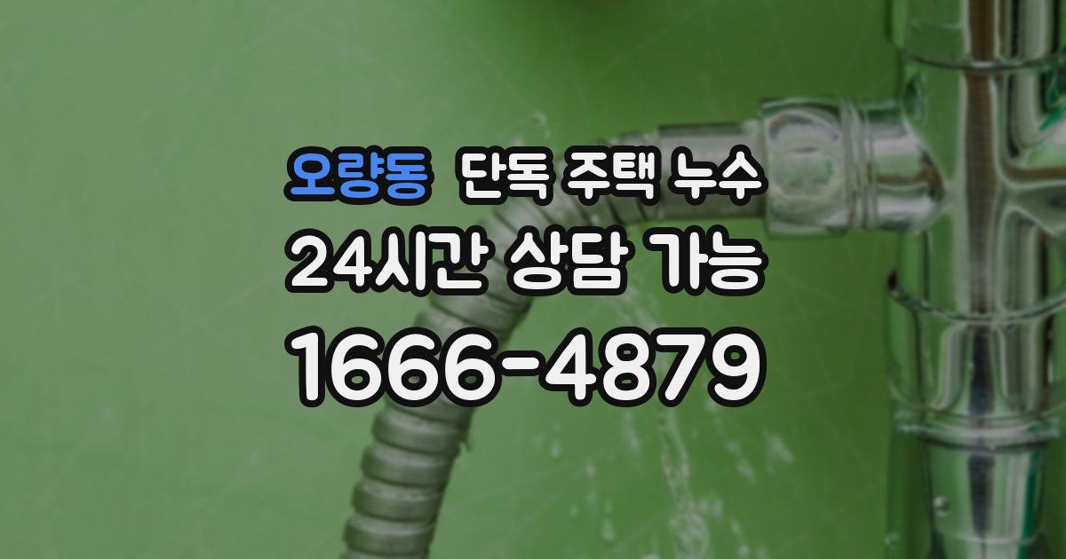 오량동 단독 주택 누수