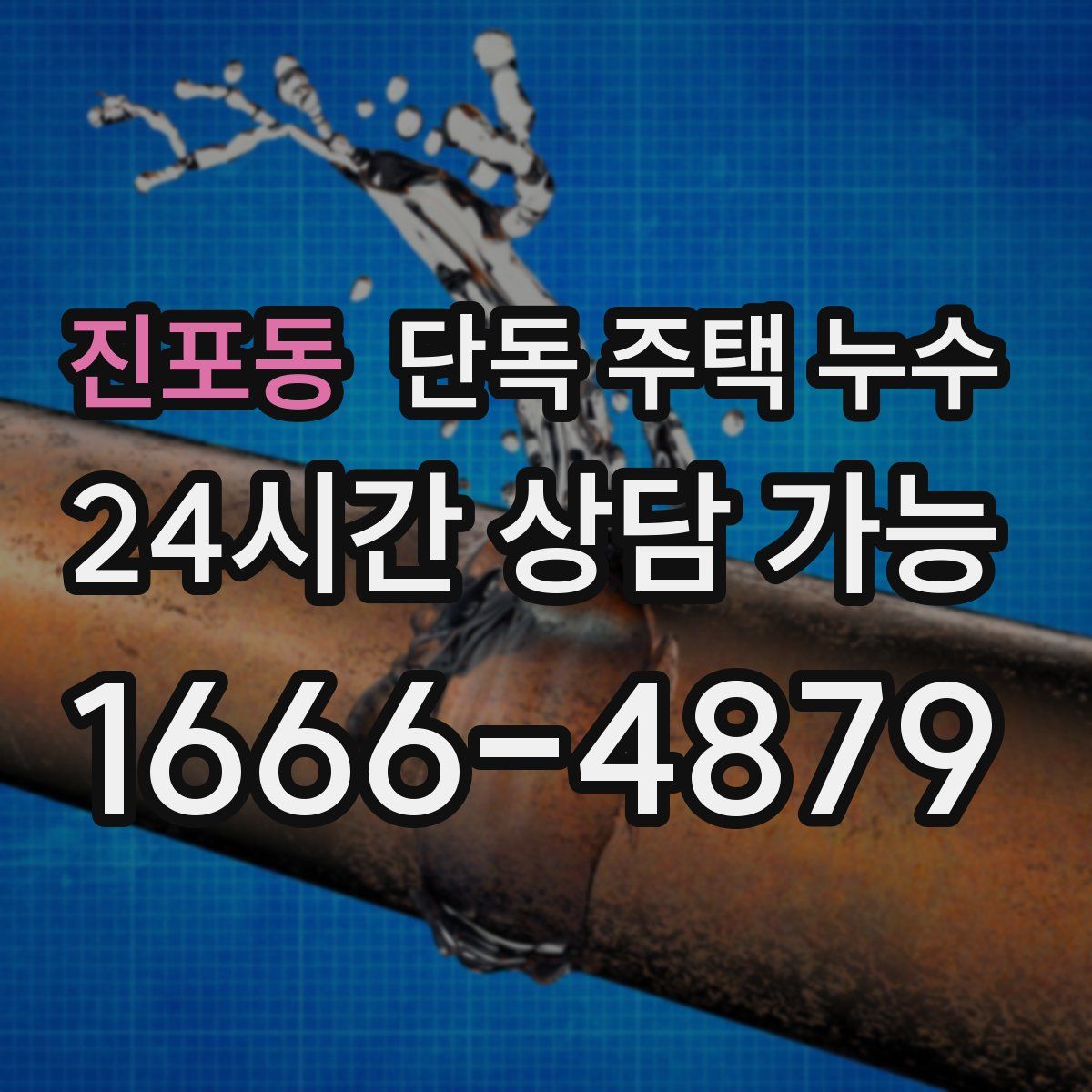 진포동 단독 주택 누수