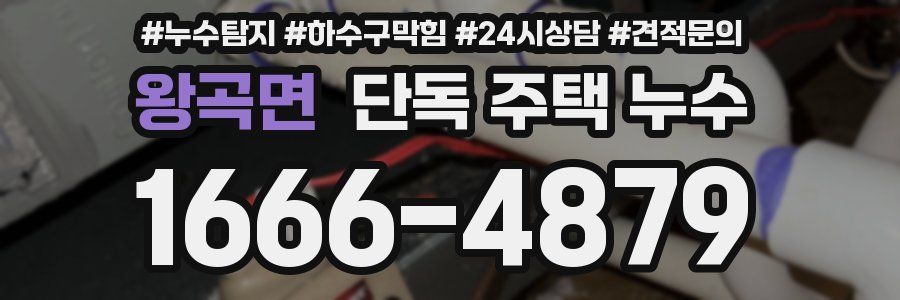 왕곡면 단독 주택 누수