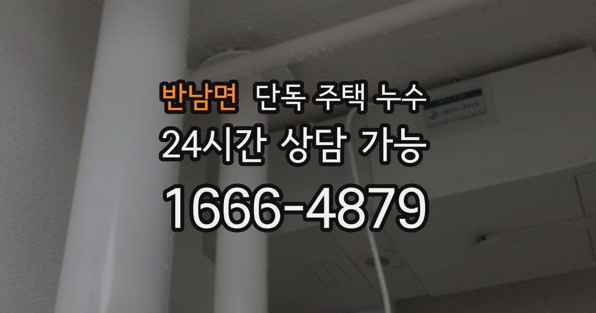 반남면 단독 주택 누수