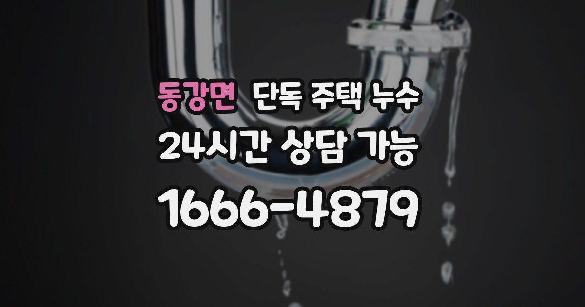 동강면 단독 주택 누수