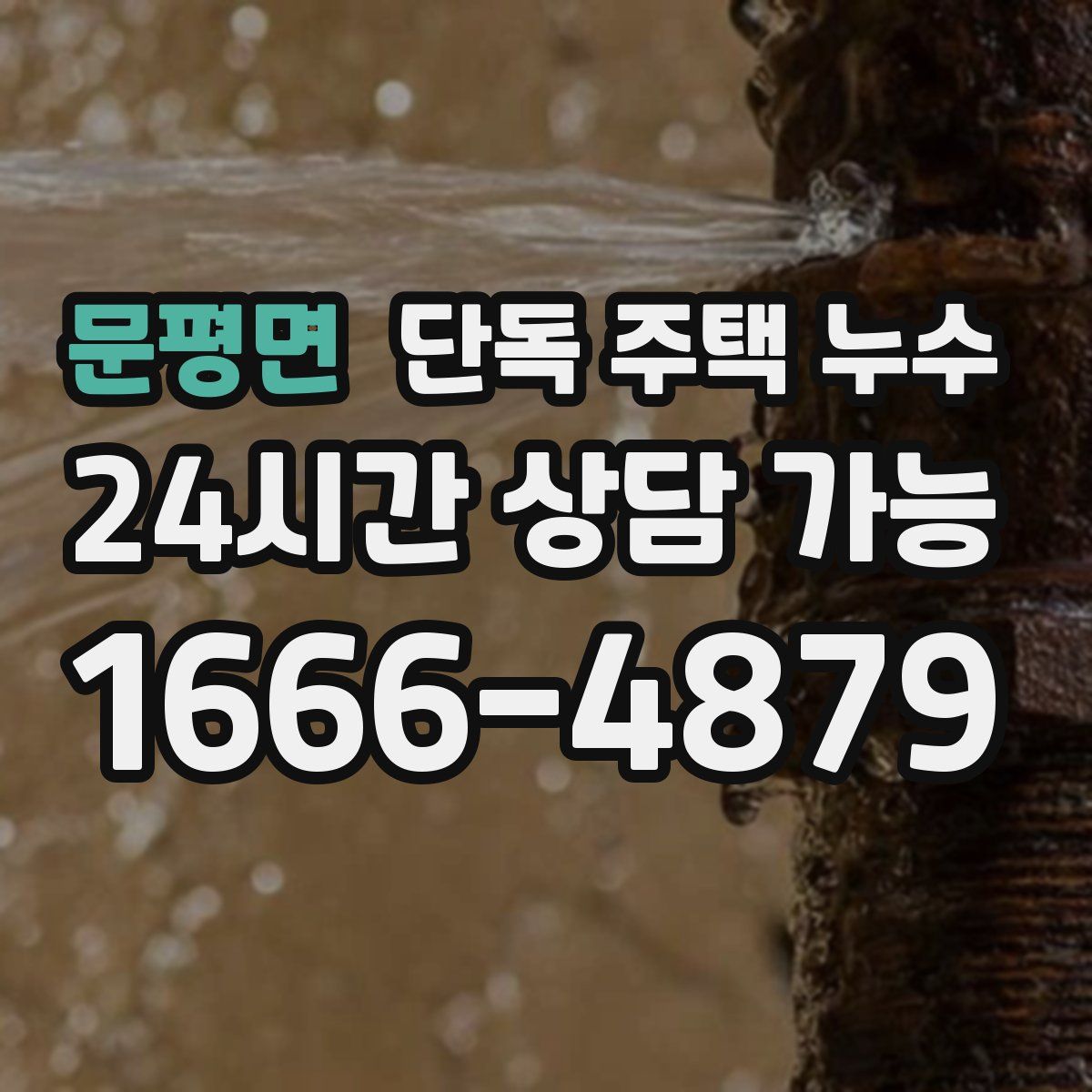 문평면 단독 주택 누수