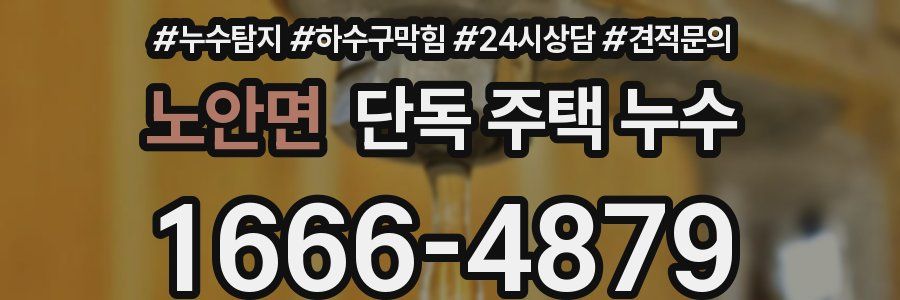 노안면 단독 주택 누수