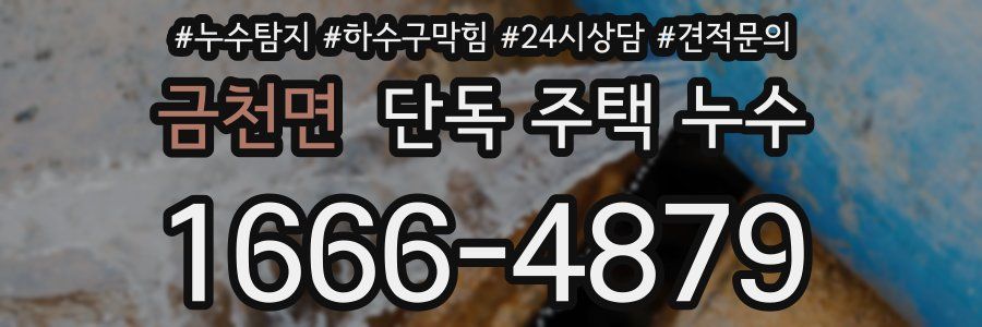 금천면 단독 주택 누수