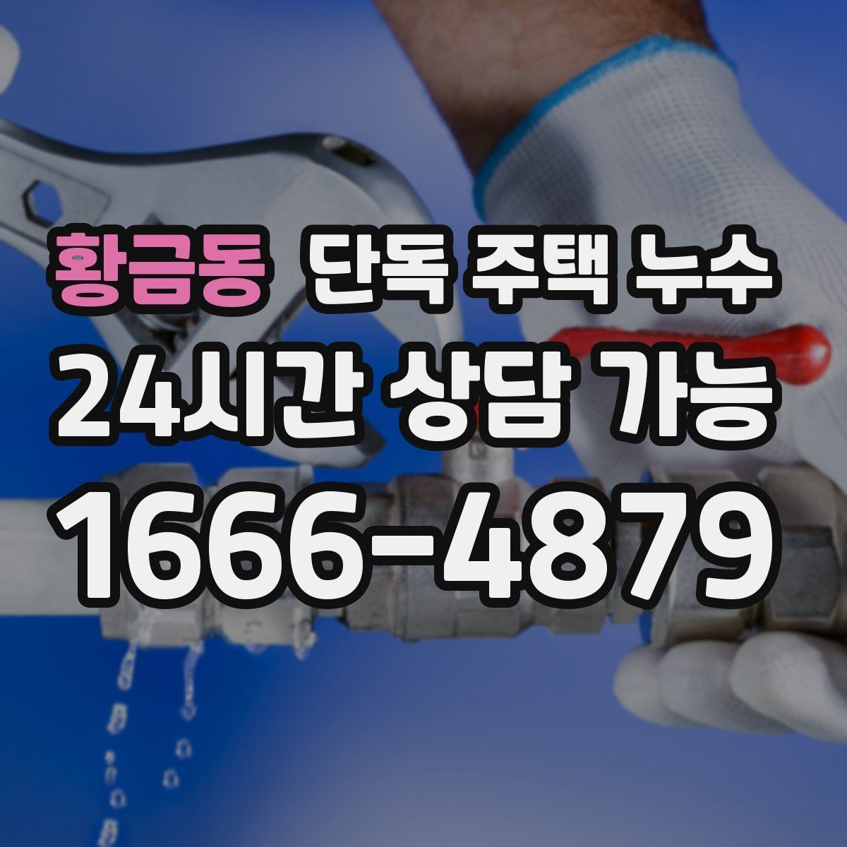 황금동 단독 주택 누수