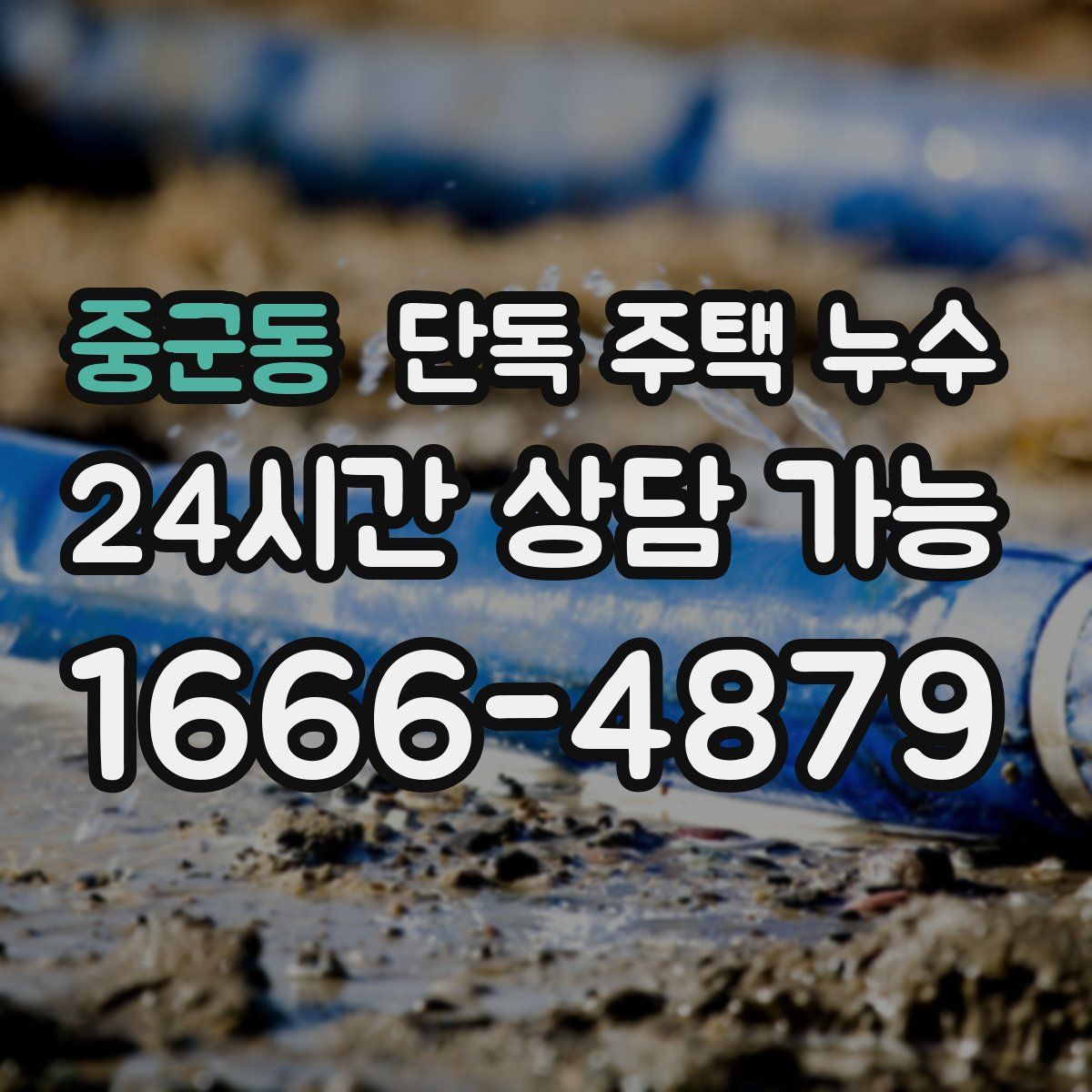 중군동 단독 주택 누수