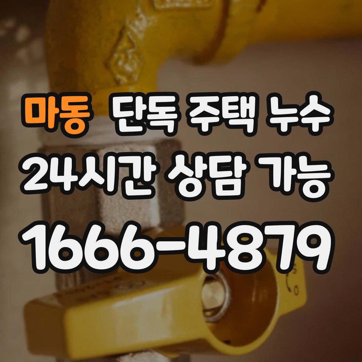 마동 단독 주택 누수