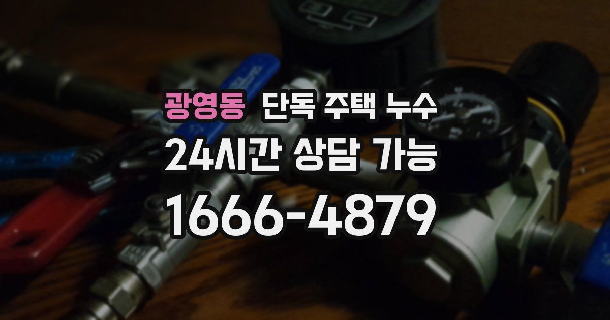 광영동 단독 주택 누수