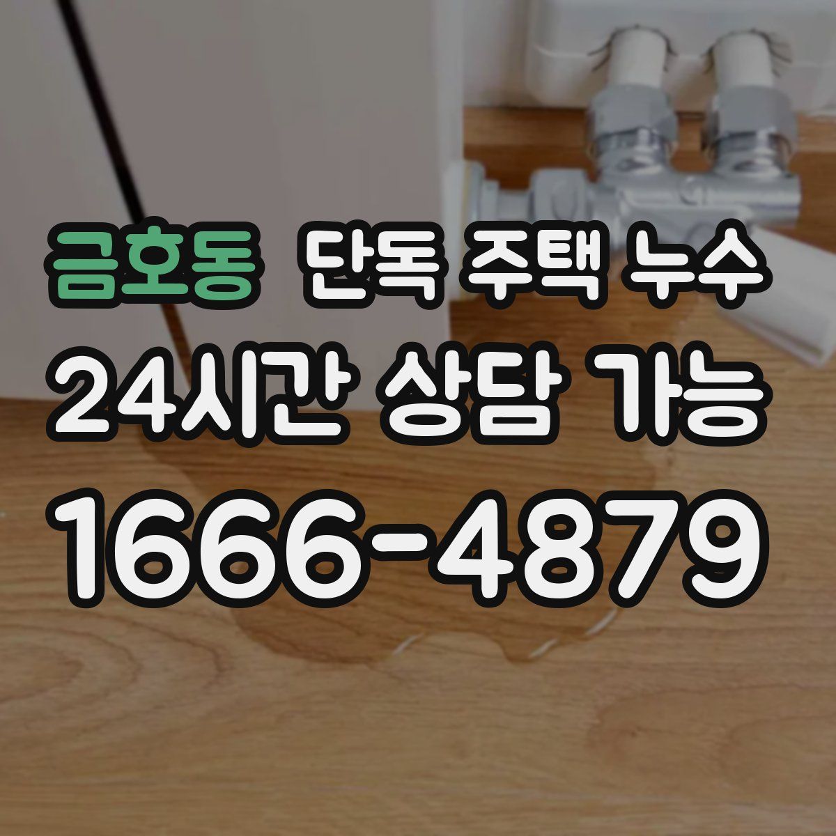 금호동 단독 주택 누수