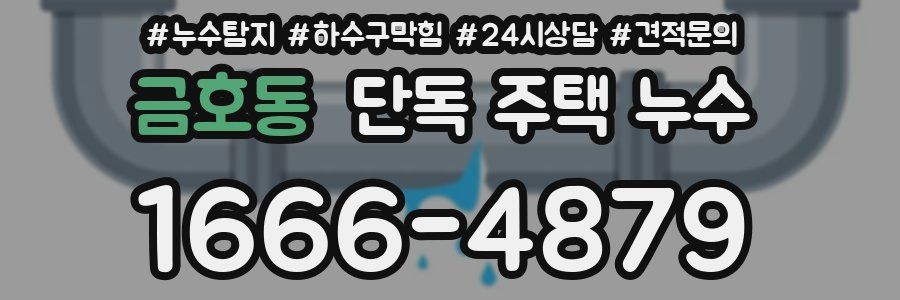 금호동 단독 주택 누수