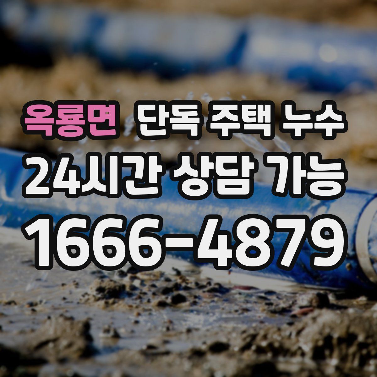 옥룡면 단독 주택 누수