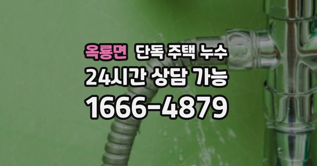 옥룡면 단독 주택 누수